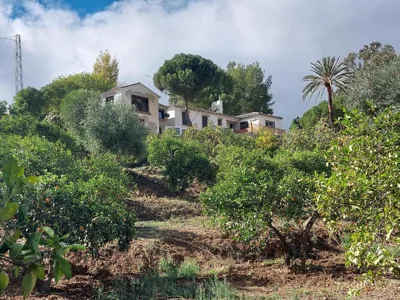 El bufon de la corte — photo 4