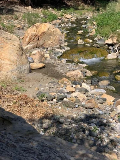 El bufon de la corte — photo 8