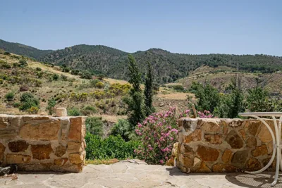 El bufon de la corte — photo 9