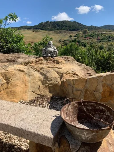 El bufon de la corte — photo 10