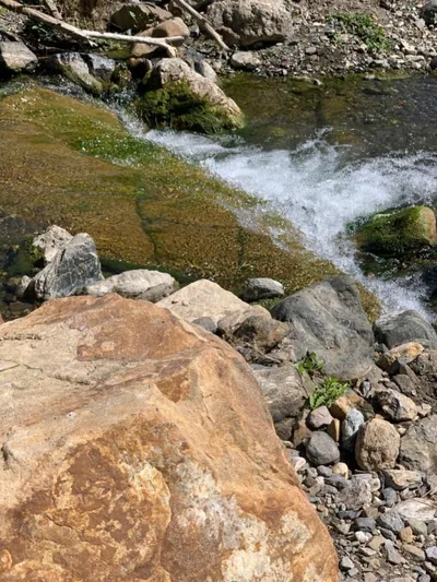 El bufon de la corte — photo 11