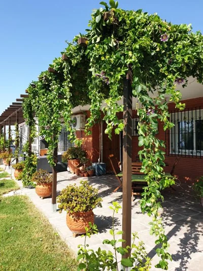 El Camarote — foto 7