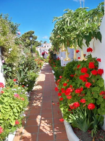El Capistrano Sur — foto 12