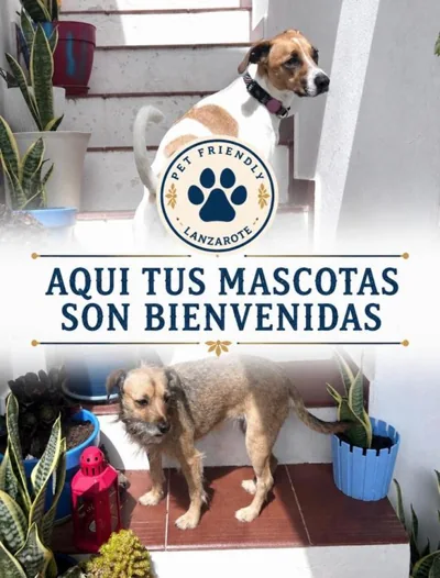 El Charco Rooms — foto 11