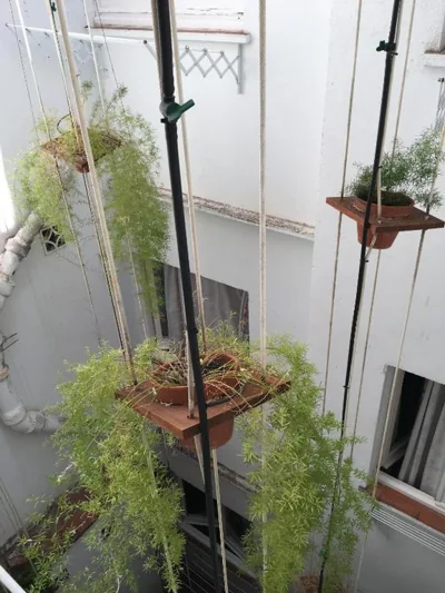 El Cid — foto 7