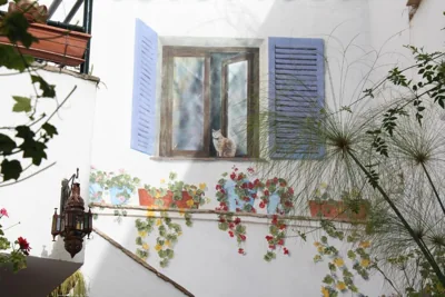 El Cobijo de Vejer — foto 7