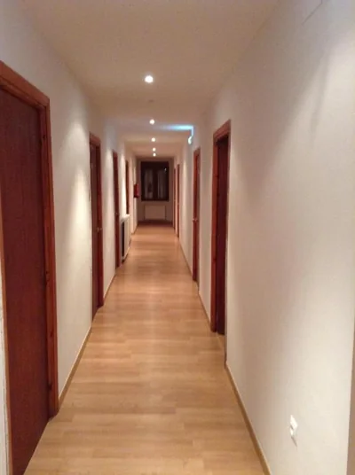 EL DELFÍN VERDE — photo 11