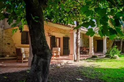 El huerto de Candeleda — foto 9