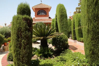El jardín de la abuela — foto 7