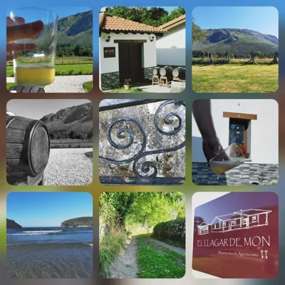 El Llagar de Mon I — 照片 8