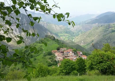 El llagar — foto 6