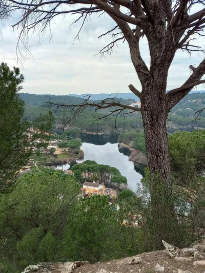 El Madroño de la Encantada — Foto 9
