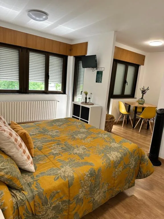 Deluxe studio met groot bed — El Malecon