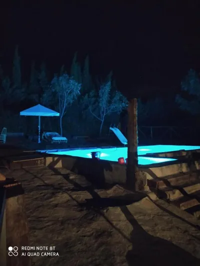 El Mirador — photo 8