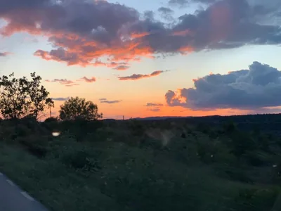 El Mirador — photo 11