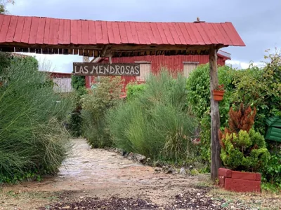 El Mirador — photo 12