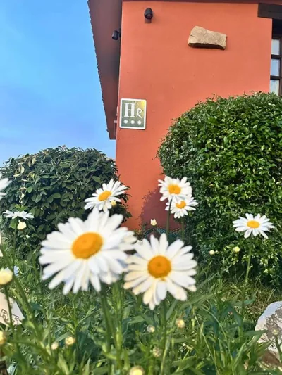 El Mirador de Deva — foto 12