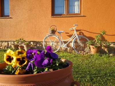 El MIRADOR DE TONO , Casa entera — foto 10