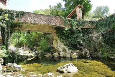 El Molino — foto 8