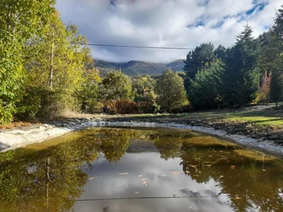 El Molino de Candelario — foto 11
