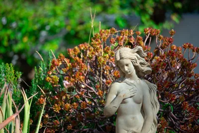 El Molino Estepona — 写真 7