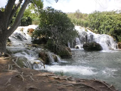 El Molino — foto 4