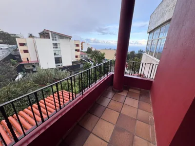 El Oasis Canario — foto 4