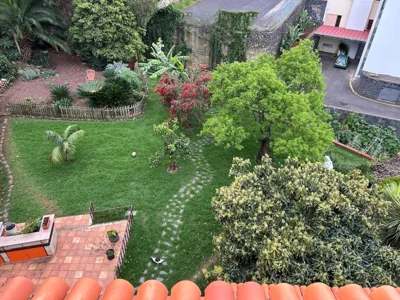 El Oasis Canario — foto 11