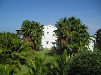 El Olivar de Roche Viejo — foto 4