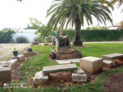 El Olivar de Roche Viejo — foto 5