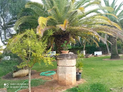 El Olivar de Roche Viejo — foto 6