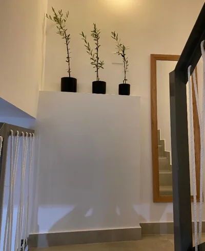 El Olivo — foto 6