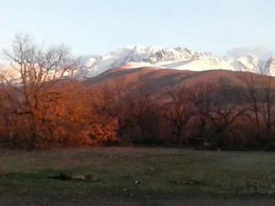 El Paso de las Cigüeñas — Foto 12