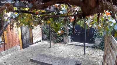 El patio de Rio Lozoya — 写真 6