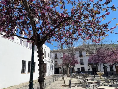 El Patio del Albaicín — 照片 12
