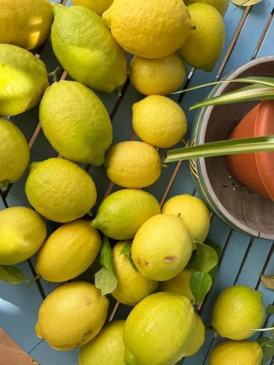 El Patio del Limonero — foto 4