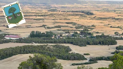 EL PINAR DE BARDENA — foto 9
