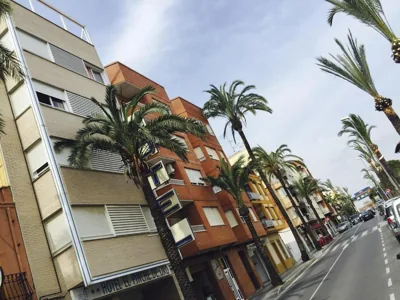 El Pinche de Oro — foto 6