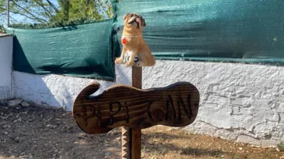 El Racó de la Jess — Foto 11