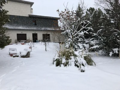 El Refugio. — Foto 7