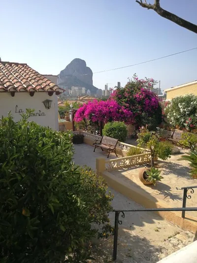 El Rincón de la Quinta — foto 10