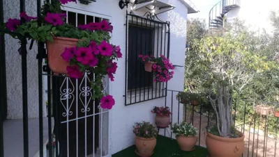 El Rincón de la Quinta — foto 12