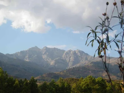 El Rincón de los Riveros — foto 11