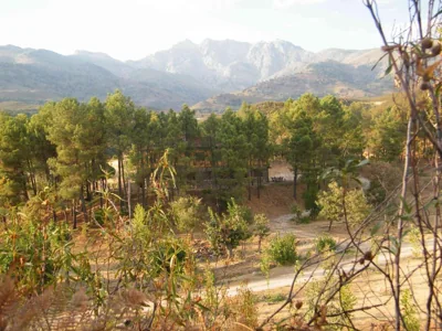 El Rincón de los Riveros — foto 12