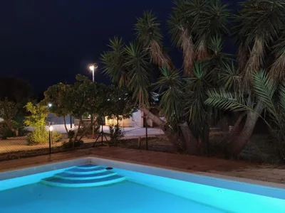 El Rincón del Olivo — foto 4