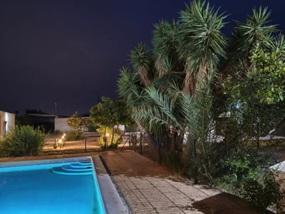 El Rincón del Olivo — foto 11