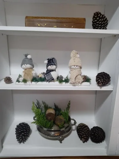 El Rinconin de Degu — foto 9