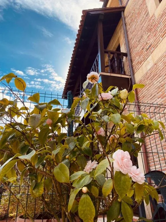 Tweepersoonskamer met balkon — El Tejo de Comillas
