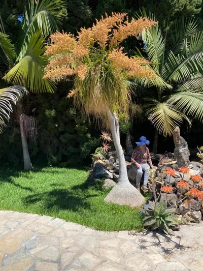 El Time — foto 11