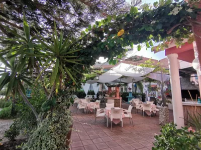 El Tio Mateo — photo 10